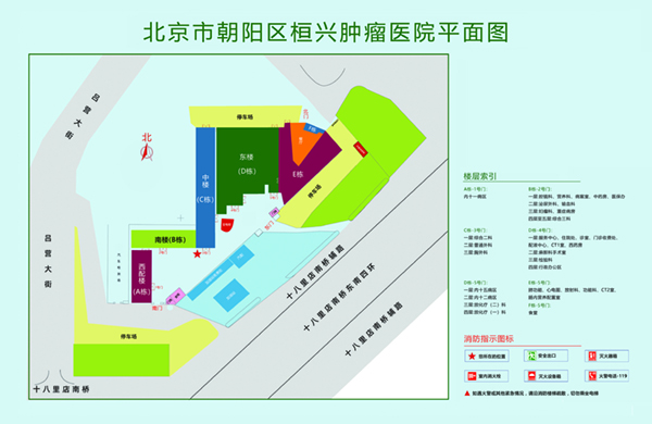 看大播操逼的视频北京市朝阳区桓兴肿瘤医院平面图